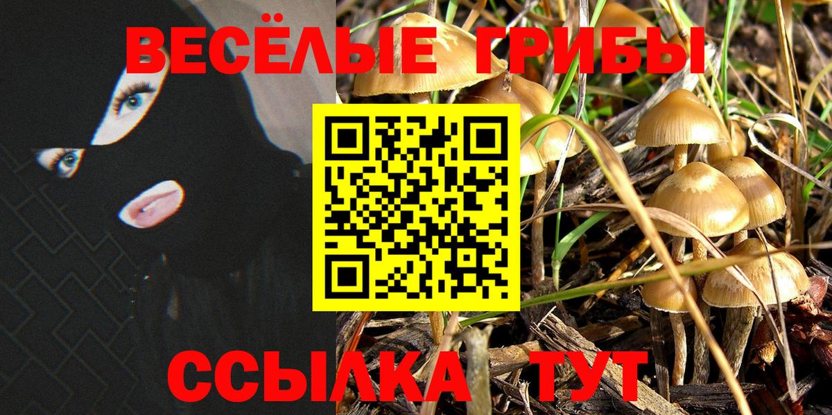 Псилоцибиновые грибы Magic Shrooms  Вход с VPN  Фролово 
